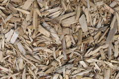 biomass boilers Low Dinsdale